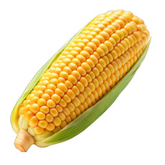 Wall Mural - A corn on the cob on transparent background