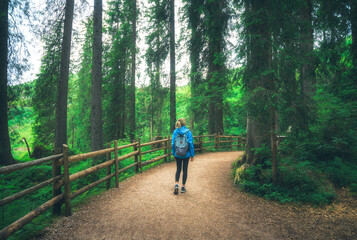 Wall Mural - Woman in a blue jacket with backpack is walking on a forest trail, trees with lush green foliage in summer. Slim girl on the path with a wooden fence. Hiking and travel in Dolomites, Italy. Nature