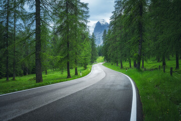 Wall Mural - road in green forest in summer. dolomites, italy. beautiful mountain road, trees with lush foliage, 
