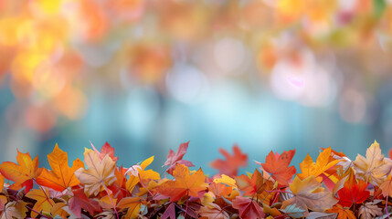 Wall Mural - Colorful Autumn Leaves On The Ground With Blurred Background