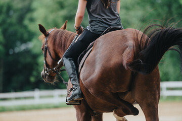 Wall Mural - A young person is seen horseback riding on a ranch, displaying their equestrian skills in a scenic and natural environment.