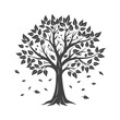 © Tatiana - Silhouette of an autumn tree with falling leaves on a white background. Black and white illustration, sketch, design element