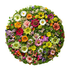 Wall Mural - Round colorful flower wall panel, cut out