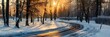 © Spectrum - Scenic view of a winding winter road in a sunlit park, showcasing the peacefulness of the season