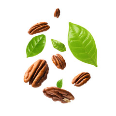 Wall Mural - Pecan nuts and green leaves in air on white background