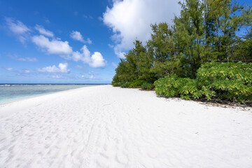 Wall Mural - white sandy beach at ritidian point, guam, us territory