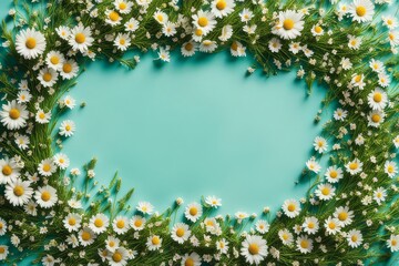 Wall Mural - flower frame made of small blooming chamomiles on blue background. Copy space