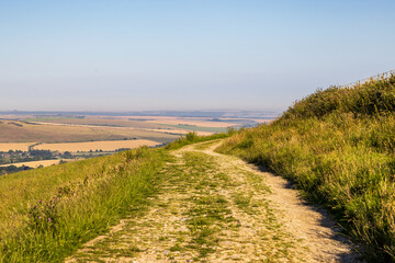 Wall Mural - A path on Kingston Ridge in the South Downs, on a sunny summer's evening