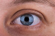 © gorynvd - Macro photo of light blue male eye looking straight into the camera. Close up young man eye.