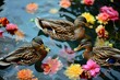 © anatolir - Pair of ducks glide on water surrounded by vibrant floating flowers