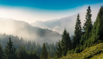 Wall Mural - foggy morning in the mountains beautiful landscape with coniferous forest generative ai