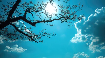 Canvas Print - Silhouette of a tree branch against a stunning blue sky