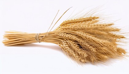 Wall Mural - bunch of wheat ears isolated on white background png on transparent background