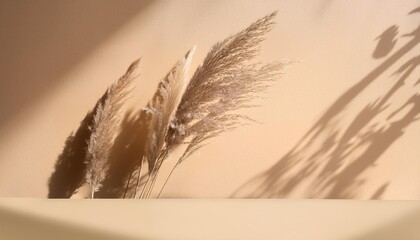 Wall Mural - pampas grass natural shadows on a beige wall or table floral silhouette on beige background