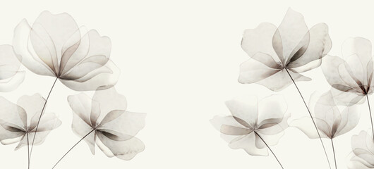 botanical floral art background with transparent flowers in watercolor style. vector plant banner fo
