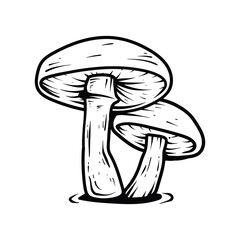 two mushrooms line art style sketch classic vintage design illustration