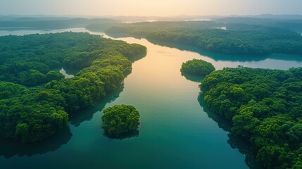 Poster - A winding river flows through a lush forest. AI.