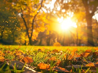 Wall Mural - Beautiful autumn landscape with green grass and trees in the park, sunlight through the leaves at sunset during the golden hour, meadow background. Nature scenery with sunlight and sunbeams. Backlight