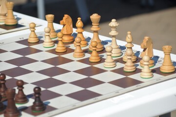 chess pieces on the board