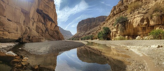 Wall Mural - Serene Canyon Oasis in the Middle East