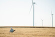 © Westend61 - Farmer examining wheat crops with wind turbines in background