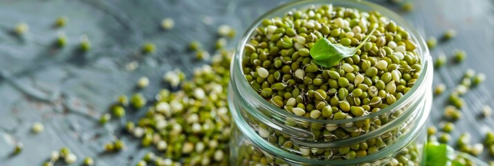 Wall Mural - Raw green buckwheat sprouted cereals, green buck wheat grains in jar, uncooked kasha sprouts heap