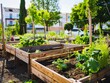© Paulius - Planting Seeds of Knowledge: Teaching Kids the Joys of Gardening in a Community Kitchen Garden