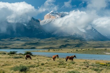 Wall Mural - Wild horses. Torres del Paine National Park.Patagonia.Chile.