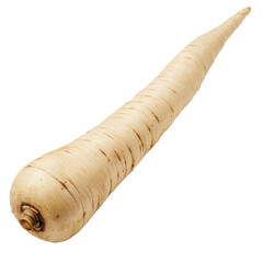 Wall Mural - a whole, raw parsnip on transparent background