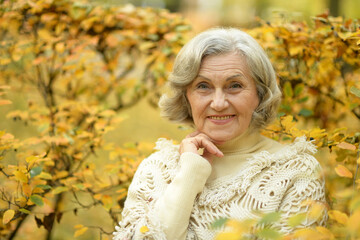 Wall Mural - Happy beautiful senior woman in the autumn park. 