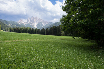 Wall Mural - hiking in the high mountains