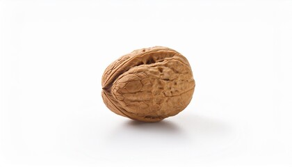 Poster - single walnut in shell isolated on white background