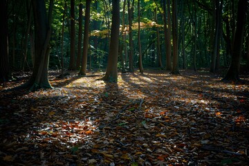 Golden Fall Foliage