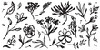 © Katsyarina - Tattoo flower collection. Contemporary abstract minimal art in charcoal or crayon drawing style botanic plant vector illustration. Ink hand drawn wild flowers set. Pencil drawn floral elements.
