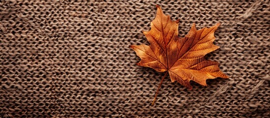 Poster - Autumn themed background featuring a maple leaf on a knitted surface with space for additional images