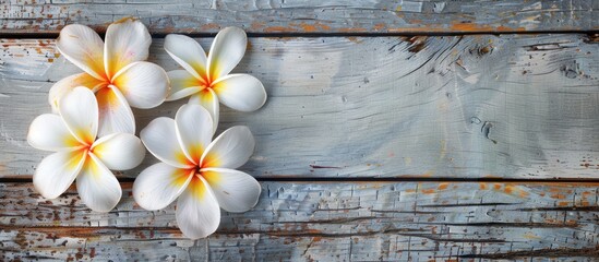 Aufkleber - Plumeria flowers board with copy space image