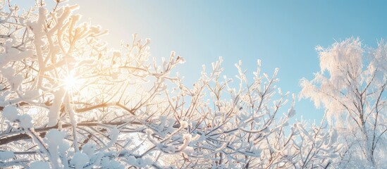Poster - Winter s sunny day illuminating frozen trees with a copy space image