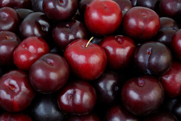 Wall Mural - Ripe cherry plums close up