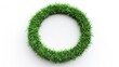 © FACTORY GRAPHICA  - round shape made from green grass on white background