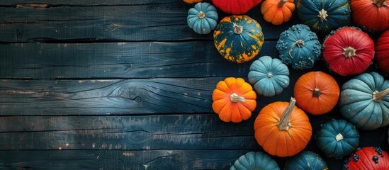 Leinwandbilder - Colorful pumpkins on a rustic dark wooden backdrop from above suitable for Halloween or Thanksgiving gatherings with available copy space image