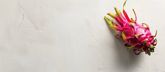 Leinwandbilder - Dragon fruit also known as Pitaya or Pitahaya displayed alone on a blank white background featuring ample space for accompanying text Aerial perspective