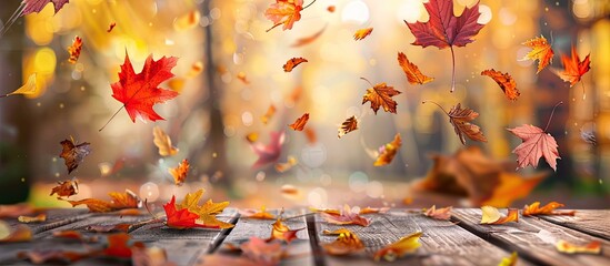 Wall Mural - Autumn maple leaves on a wooden table create a falling leaves natural background with copy space image.