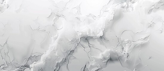 Leinwandbilder - Abstract white marble texture creating a captivating banner with a copy space image.