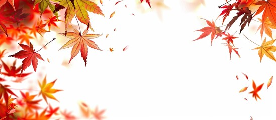Leinwandbilder - Fall foliage with copy space image.