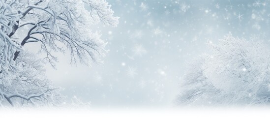 Aufkleber - Merry Christmas and Happy New Year greeting background with copy space image featuring frost and snow-covered tree branches on a white backdrop.