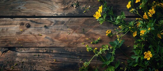 Poster - A rustic textured table showcasing a bunch of green wild plants and yellow buttercups creating a midsummer flower table decor in a flowers flat lay composition with a wooden background and copy space