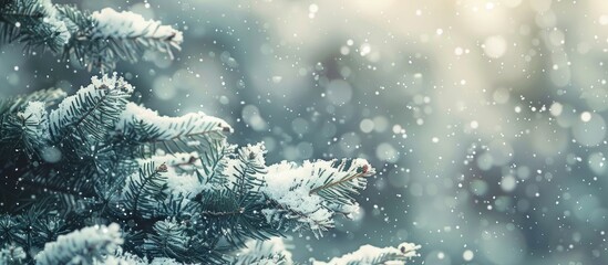 Aufkleber - Snow covered fir branches in a serene winter setting with gently falling snowflakes create a calming winter backdrop with ample copy space image