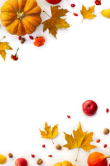 Wall Mural - pumpkin, acorns, red berries, red apples, yellow pear and autumnal colorful maple leaves on a white 