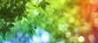 © Gular - Close up image of vibrant green maple leaves against a beautiful multicolored bokeh backdrop with copy space image
