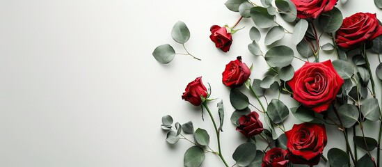 Aufkleber - Valentine s Day concept depicted with roses and eucalyptus on a white background with copy space image